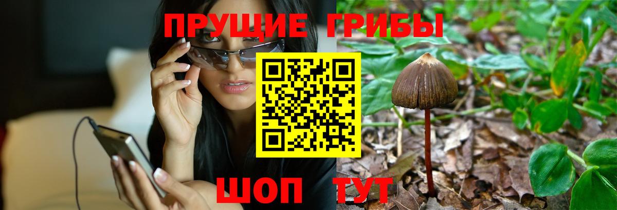 Псилоцибиновые грибы MAGIC MUSHROOMS  Галлюциногенные грибы ЛСД  как найти закладки  Луга  Вход с VPN 